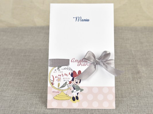 meniu botez mickey 3711