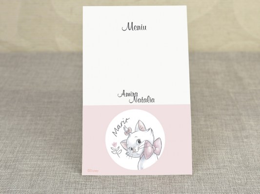 meniu botez Disney 3726