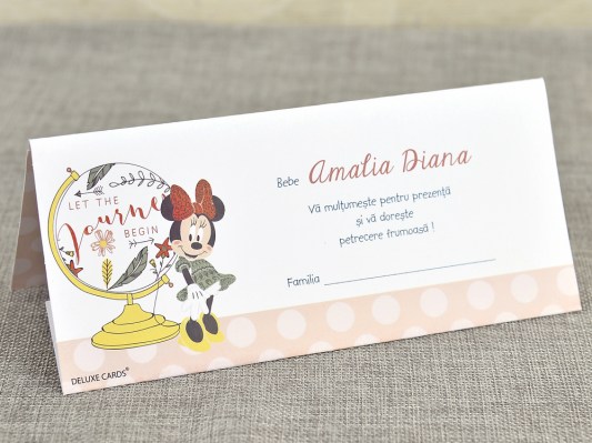 plic bani botez mickey 5711